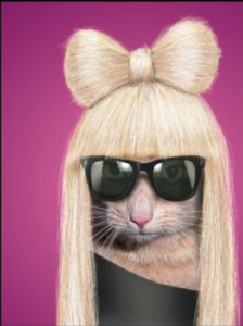 lady-chat-gaga-virgin-mobile