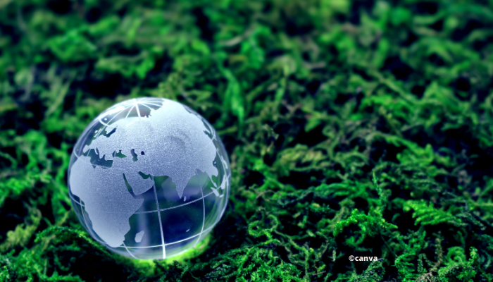 6 conférenciers experts de la transition écologique pour vos événements