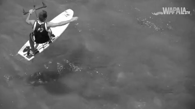 Intervention de Bruno SROKA pour Wapala ©Wapala