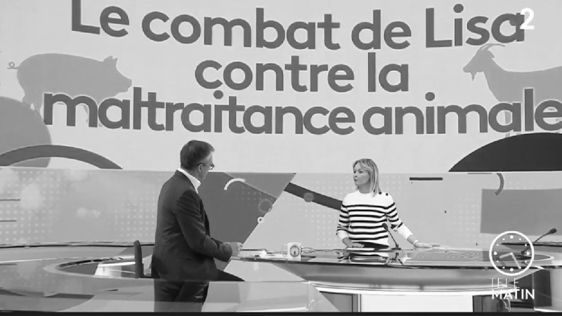 Intervention de Natacha Harry pour Télématin