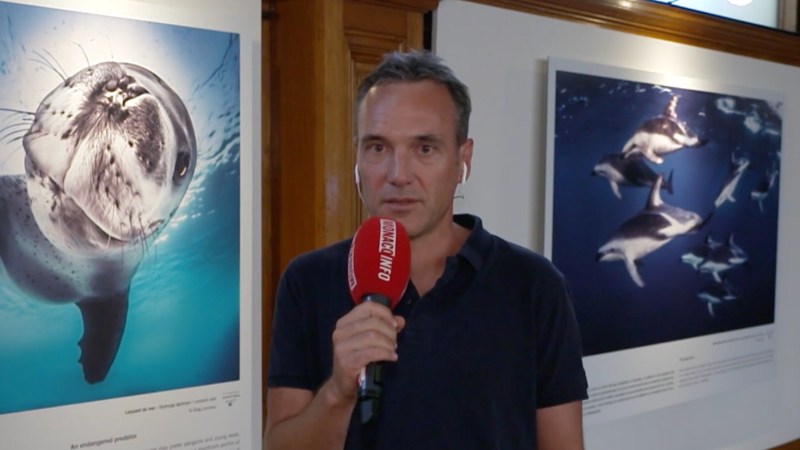 Participation de Greg LECOEUR pour MonacoInfo