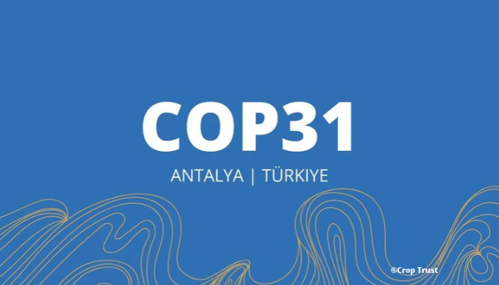 Article de blog COP 31 : quels enjeux climatiques les entreprises doivent-elles anticiper ?